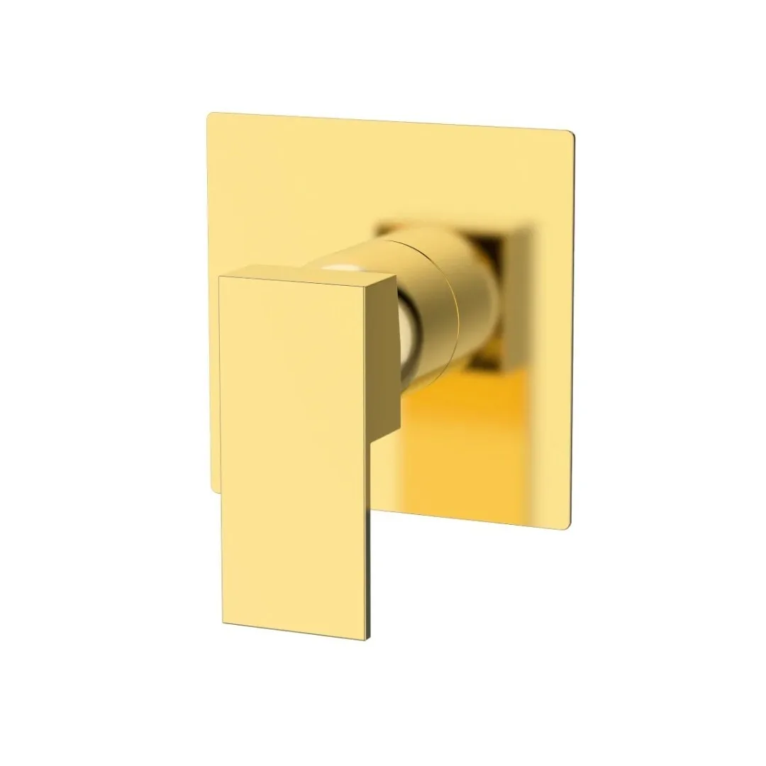 Acabamento Monocomado Para Chuveiro Gold Dax Havel