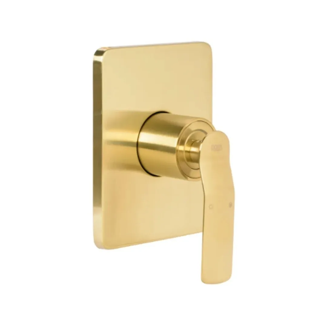 Acabamento Monocomando Para Chuveiro Brushed Gold Base Docol Doka Rainbow