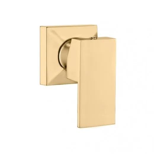 Acabamento Reg Rubinettos Quadro Dourado Base Docol