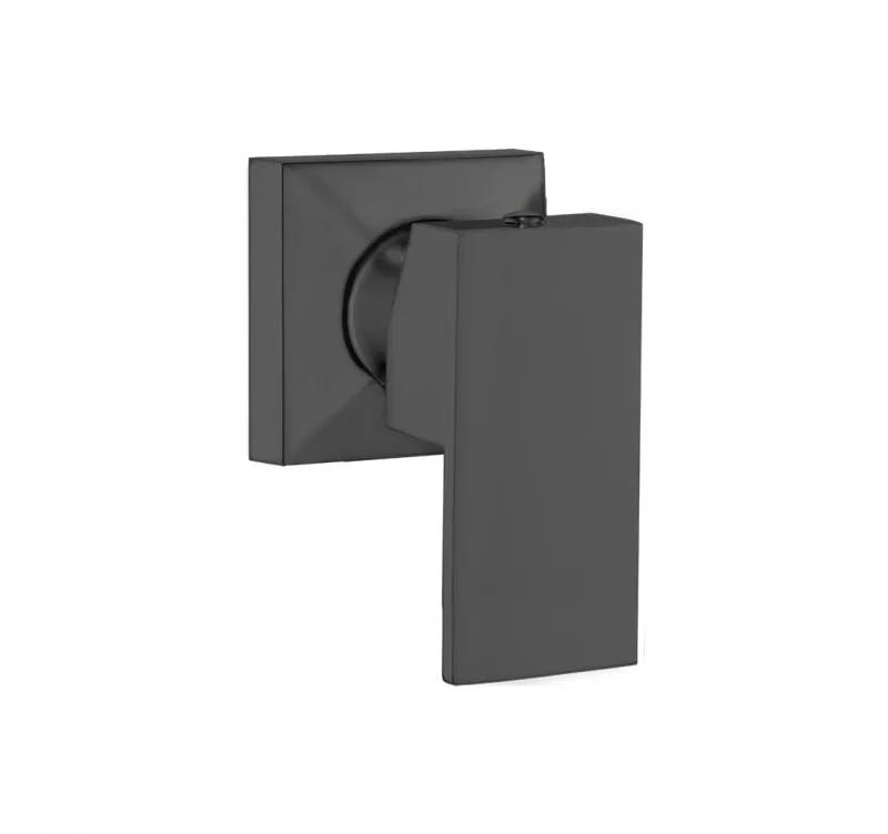 Acabamento Rubinettos Black Matte