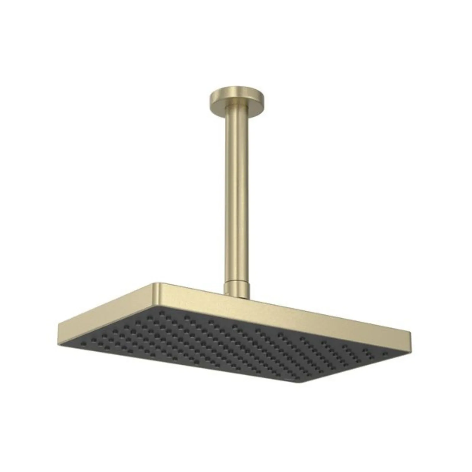 Chuveiro de Teto Retangular 26,5cm Summer Gold Deca Flex Max