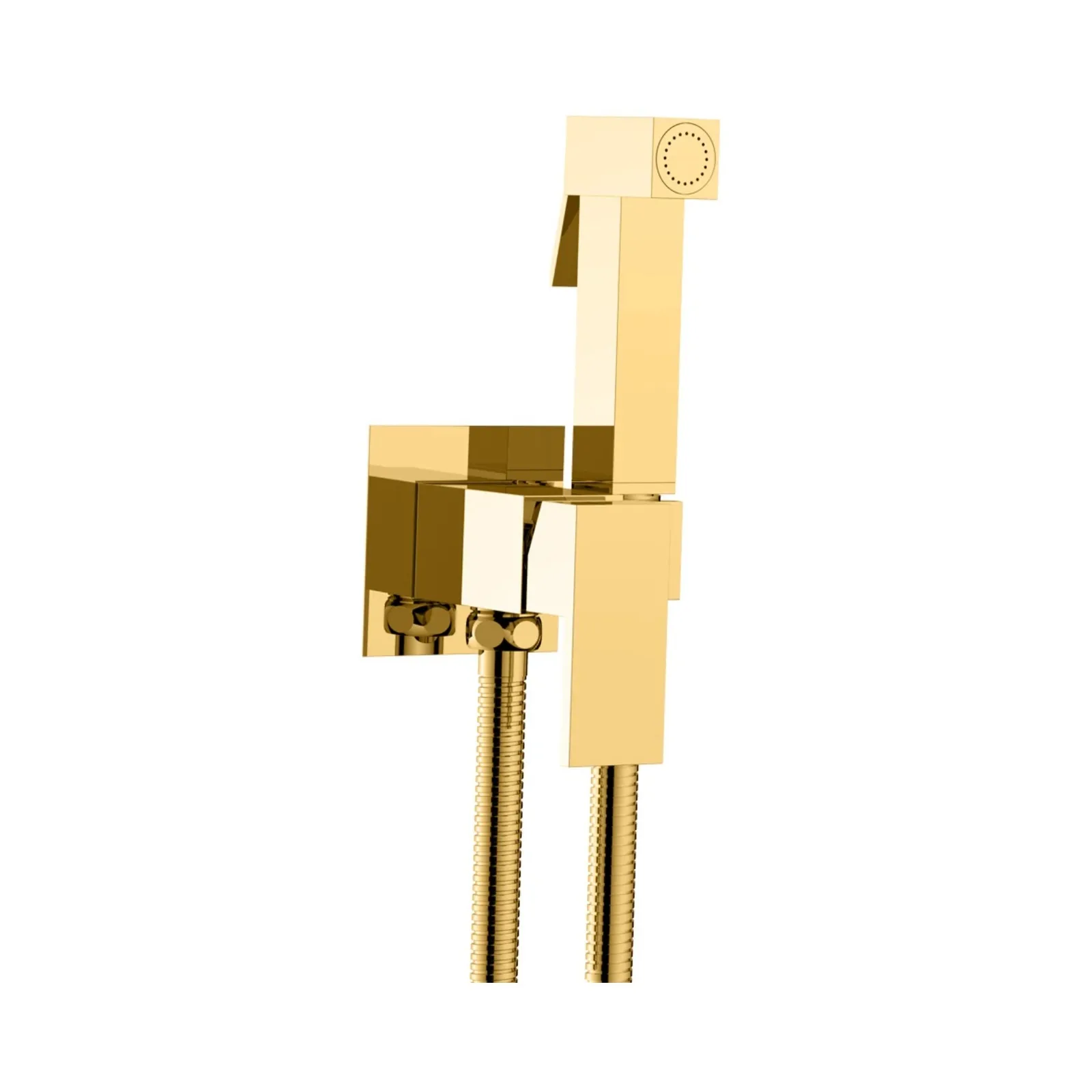 Conjunto Misturador Monocomando Ducha Higiênica Gold Lexxa Lx2904g