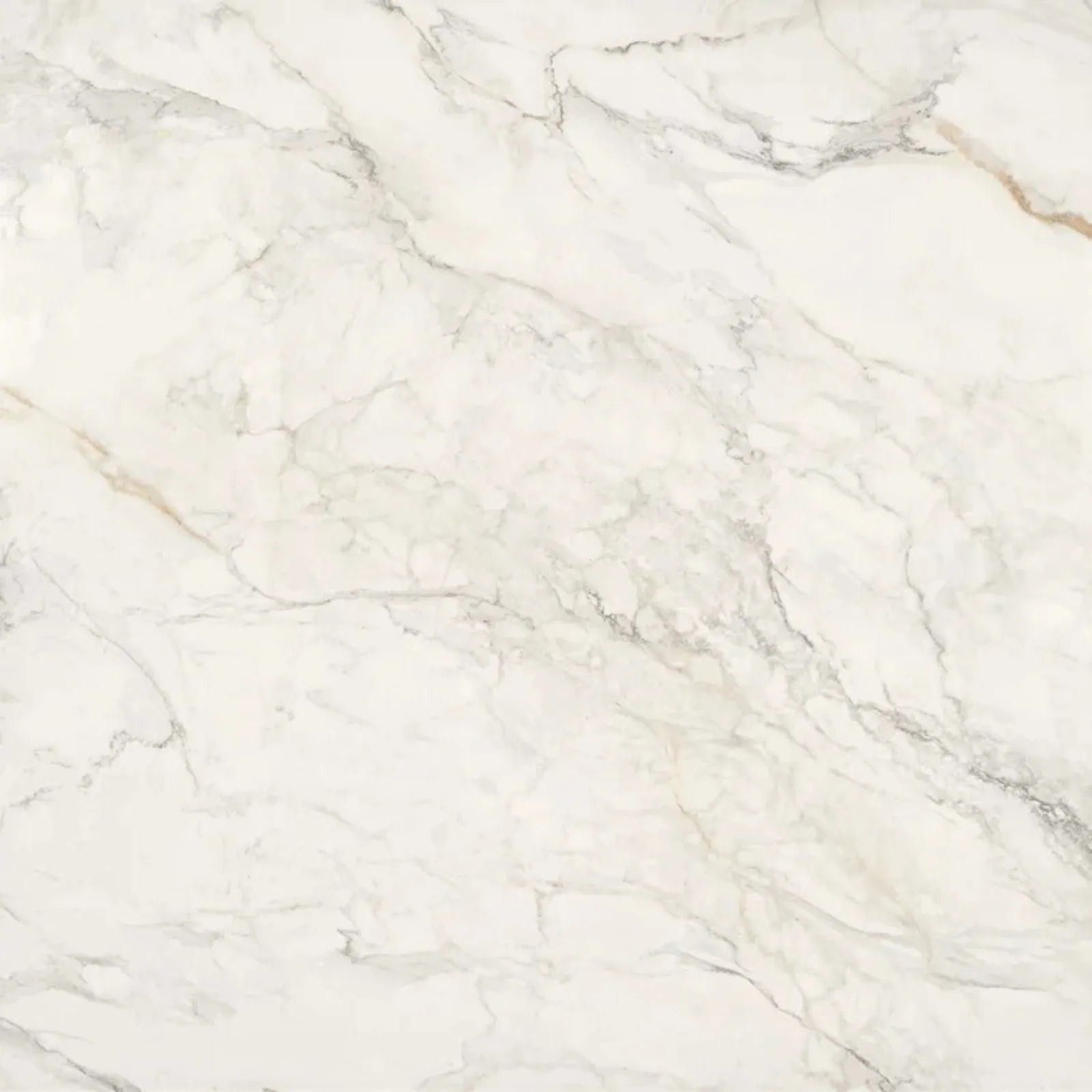 Porcelanato Bege Natural 120x120 Portobello Apuano Oro RET "A"