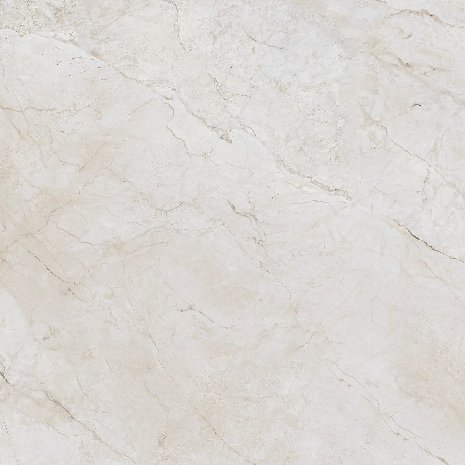 Porcelanato Ceusa Chakra Ofw Polido 120x120