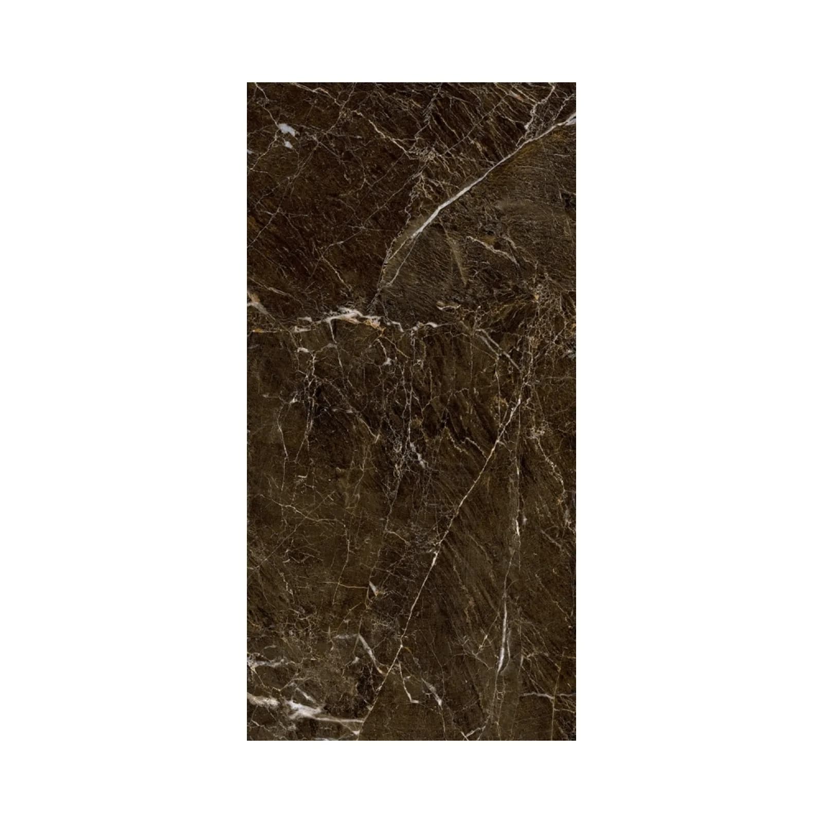 Porcelanato Marrom Marmorizado Polido 61x121 Damme Elegant Brown RET "A"