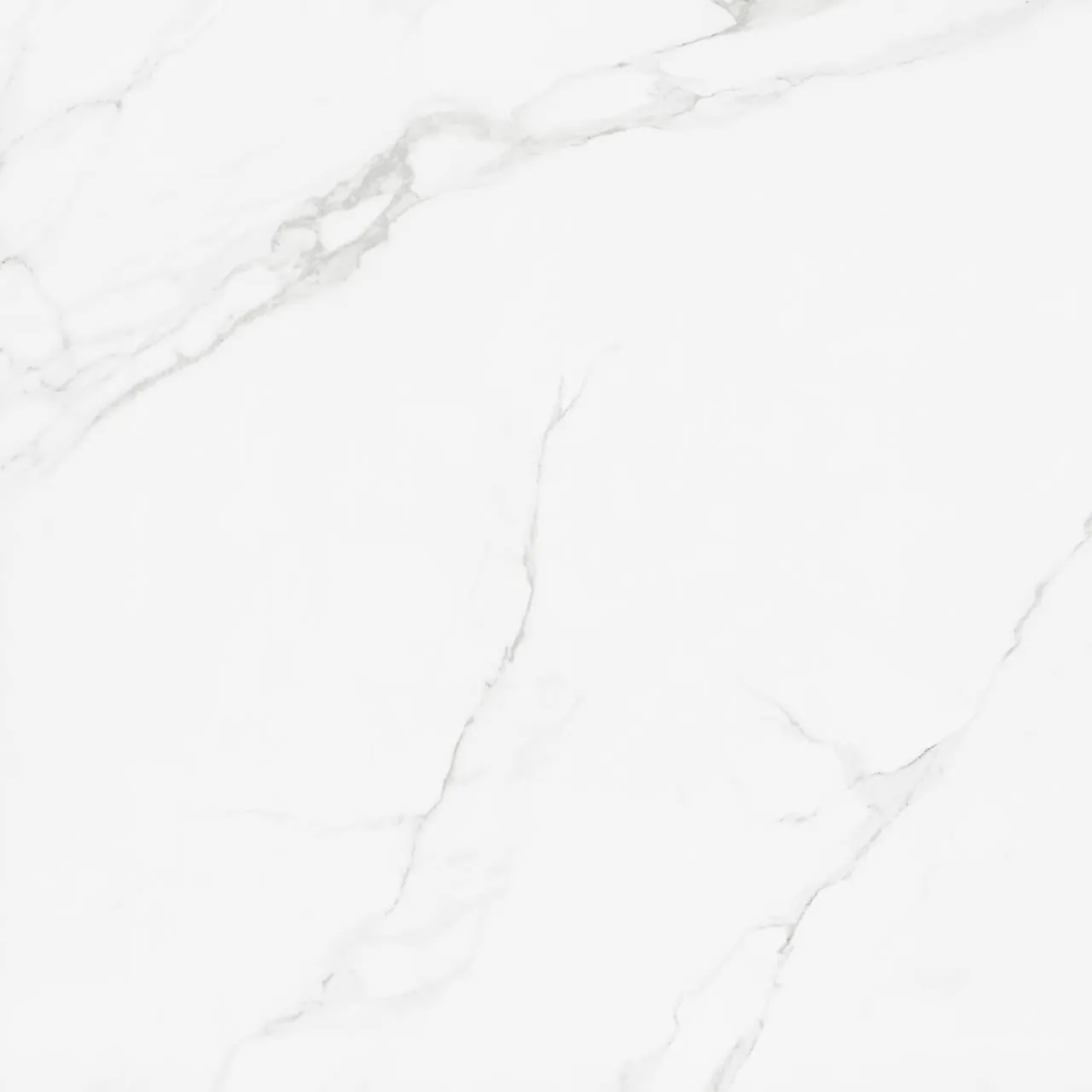 Porcelanato Eliane Place Polido 120x120