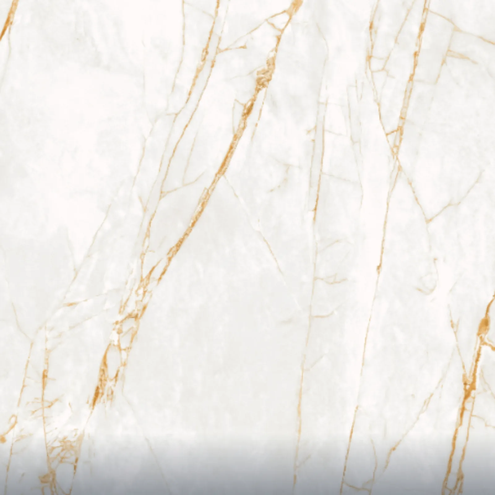 Porcelanato Marmorizado Polido 120x120 Ceusa Golden Fantasy RET "A"