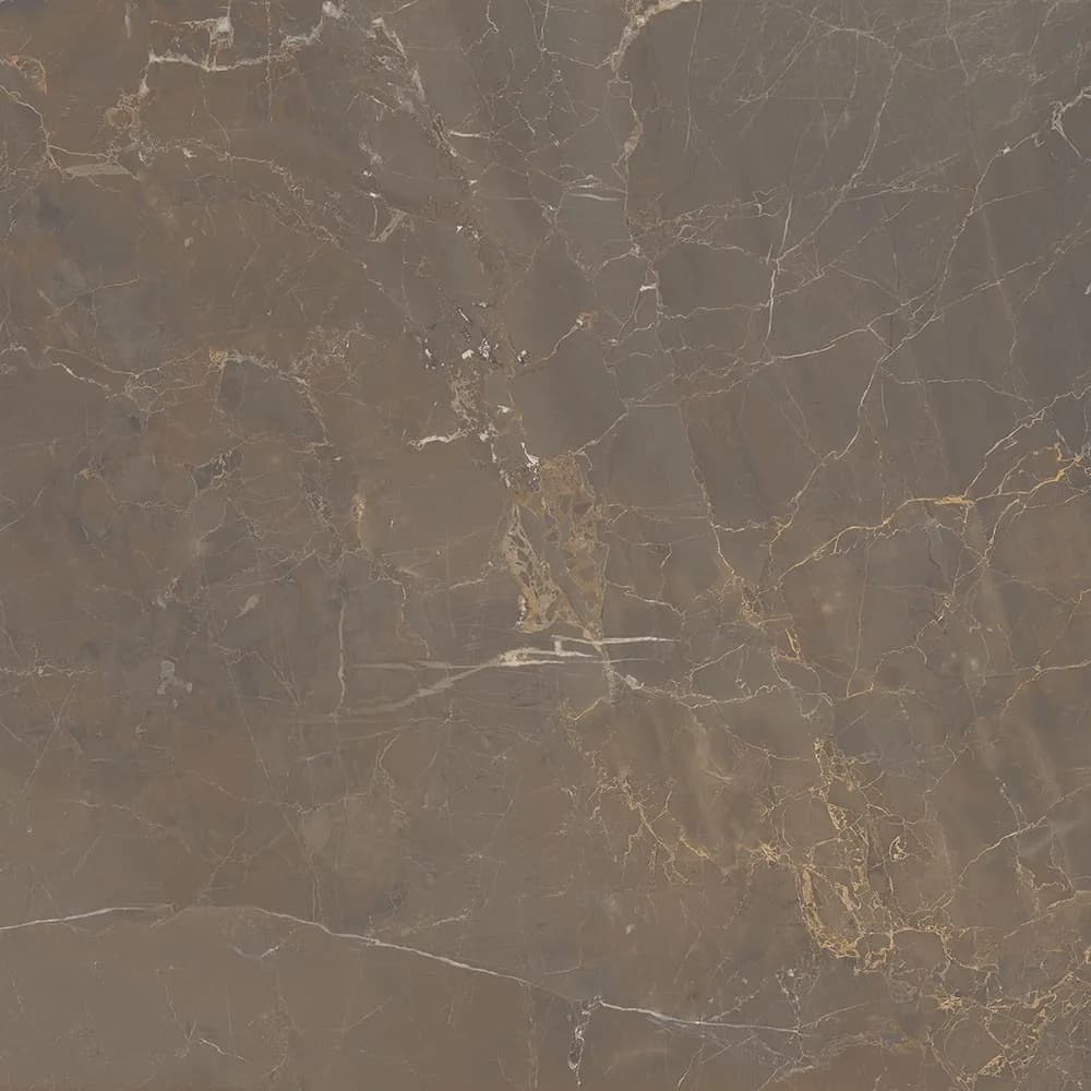 Porcelanato Roca LM Marble Sorrento RET 120x120